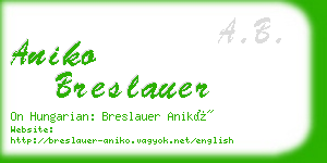 aniko breslauer business card